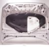 BMW Motorhaube OEM 41007290942