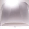 BMW Motorhaube OEM 41007290942
