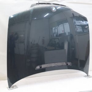 BMW 3 Series E46 Hood OEM 41618238461