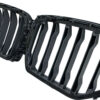 BMW X6 G06 Kühlergrill OEM 8494884