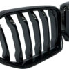 BMW X6 G06 Kühlergrill OEM 8494884