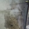BMW 5er E60 E61 Stoßfänger OEM 7896582