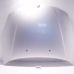 BMW Hood OEM 41627162102