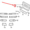 Audi A6 C6 Grille OEM 4F0853651ANT94