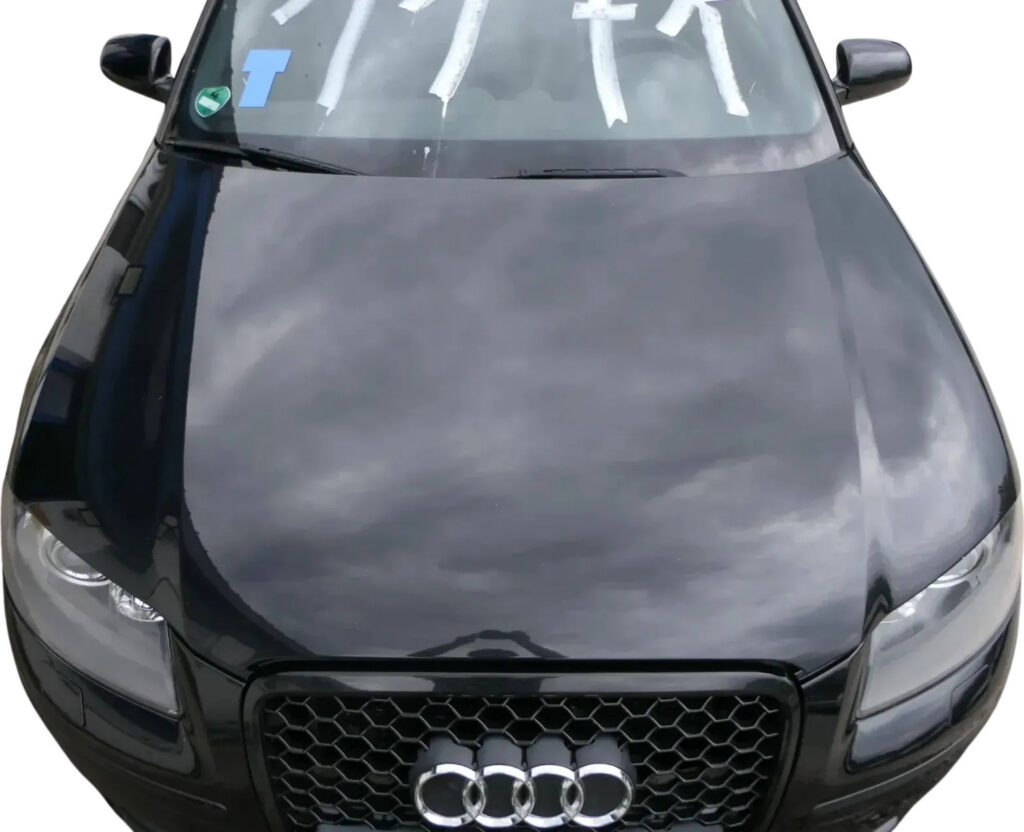 Audi A3 8P Sportback Hood OEM 8P4823029B