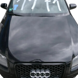 Audi A3 8P Sportback Hood OEM 8P4823029B