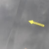 Audi A3 8P Sportback Hood OEM 8P4823029B