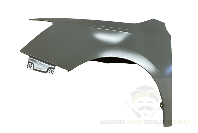 Skoda Fabia Front Left Fender OEM 6V0821105