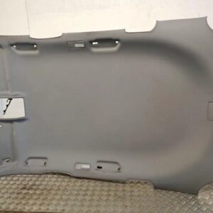 Volkswagen Touareg I / 7L Headliner