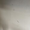 Volkswagen Sharan 7N Headliner OEM 7N0867501