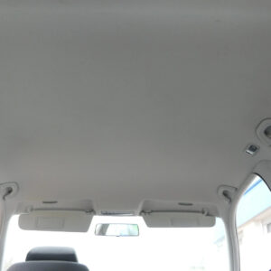 Volkswagen Golf IV / 1J Headliner Grey OEM 1J3867501K