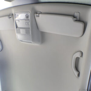 Volkswagen Golf Variant V / VI / AJ5 Headliner Pearl Grey OEM 1K9867501BS