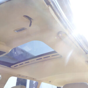 Volkswagen Passat Variant 3BG Headliner Beige OEM 3B9867501CN