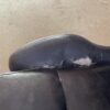 Volkswagen Golf Cabriolet IV Seat Set Black