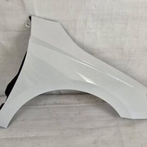 Skoda Fabia IV / 6VA Front Fender