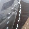 Skoda Karoq NU7 Front Right Fender Black