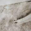 Skoda Octavia Front Right Fender
