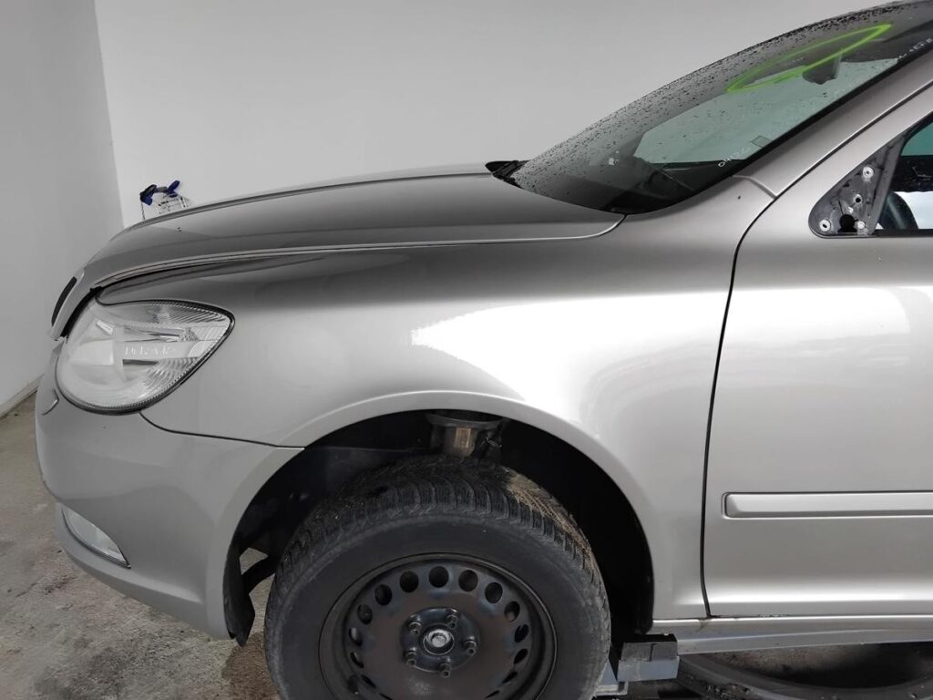 Skoda Octavia II / 1Z Front Left Fender Cappuccino Beige Metallic OEM 1Z0821105C