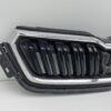 Skoda Kamiq Front Grille OEM 658853653