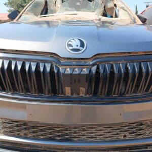 Skoda Karoq Front Grille