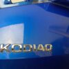 Skoda Kodiaq Rear Tailgate Blue Metallic OEM 565827159