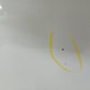Skoda Citigo Front Hood Candy White