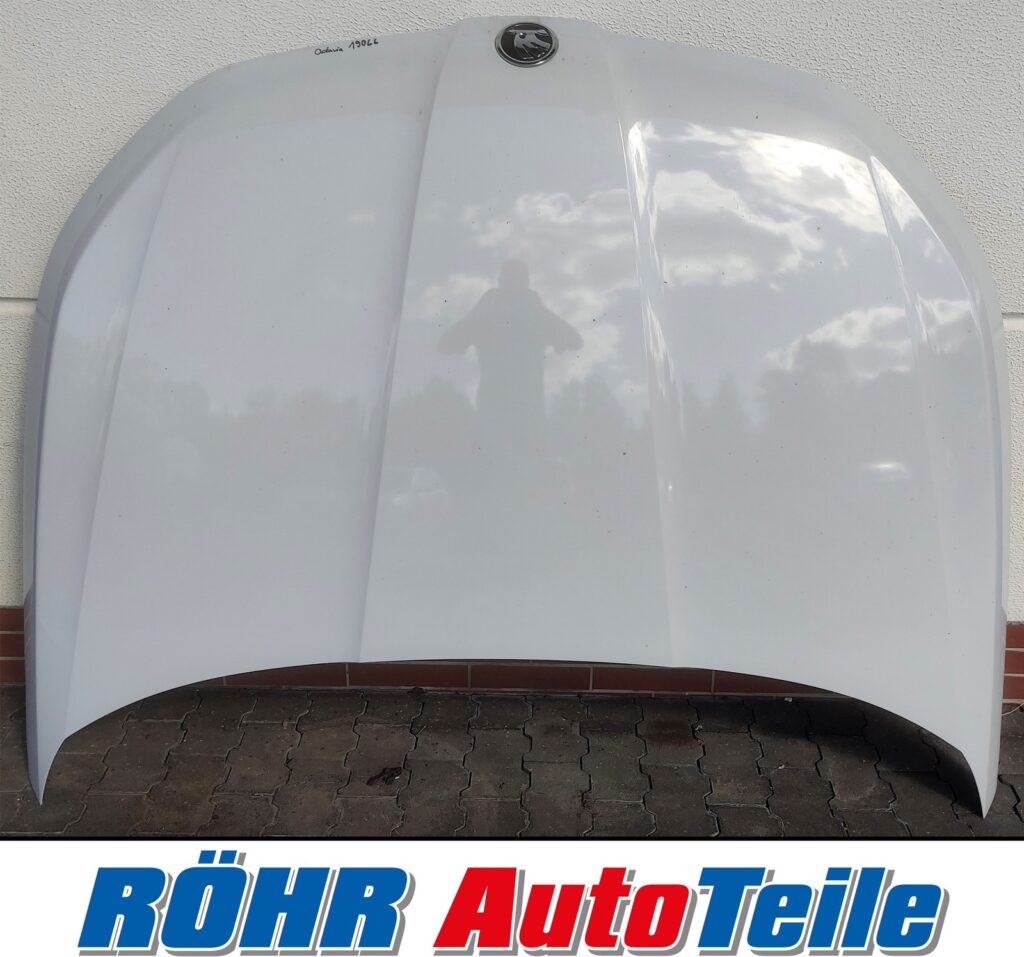 Skoda Kodiaq I / 565 Front Hood OEM 565823155