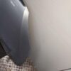 Skoda Fabia II / 5J Front Hood Reflex Silver Metallic