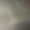 Skoda Superb Front Hood OEM 3T0823031