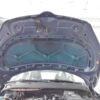 Skoda Fabia II / 5J Front Hood Pacific Blue OEM 5J0823031B