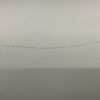 Skoda Rapid NH Rear Right Door Candy White OEM 5JJ833052