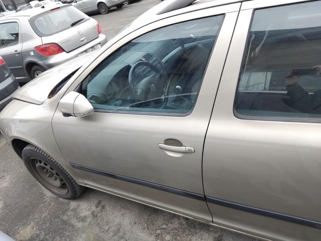 Skoda Octavia II / 1Z Front Left Door Sahara Beige Metallic OEM 1Z0831051