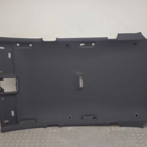 Skoda Enyaq iV Headliner OEM 5LG867501