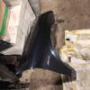 Porsche Cayenne 92A Front Right Fender