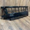 Porsche Panamera 976 Front Grille OEM 976807683E