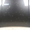 Porsche Cayenne 9Y / 9Y0 Front Hood