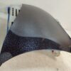 Porsche Boxster / 911 986 / 996 / 996.2 Front Hood