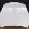 Porsche Cayenne 9Y0 / 9Y3 Front Hood OEM 9Y0823031