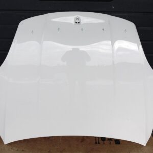 Porsche Cayenne 9Y0 / 9Y3 Front Hood OEM 9Y0823031