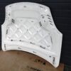 Porsche Cayenne 9Y0 / 9Y3 Front Hood OEM 9Y0823031