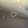 Porsche Cayman 981 Front Left Door