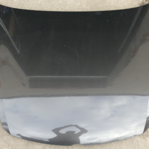 Volkswagen Phaeton GP3 / GP4 Front Hood Brown