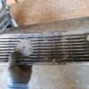 Volkswagen Polo G40 / GT 86C / 87C Front Grille with Auxiliary Lights White OEM 871853653