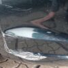 Volkswagen Touran 1T3 Front Bumper Venice Green OEM 1T0807221MGRU
