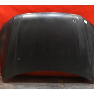 Volkswagen Tiguan II / AD1 Front Hood