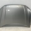 Volkswagen Tiguan II / AD1 Front Hood OEM 5NA823031H