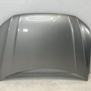 Volkswagen Tiguan II / AD1 Front Hood OEM 5NA823031H