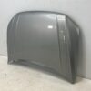 Volkswagen Tiguan II / AD1 Front Hood OEM 5NA823031H
