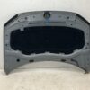 Volkswagen Tiguan II / AD1 Front Hood OEM 5NA823031H