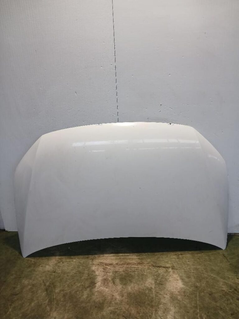 Volkswagen Caddy Front Hood OEM 2K5823031